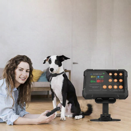 Three-in-One Wireless Dog GPS Fence showing collar and boundary system for pet safety and training