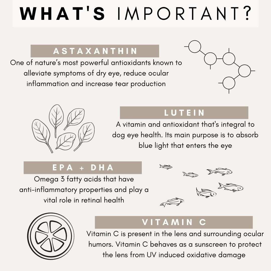 PetzPark Eye Support supplement for dogs with antioxidants, vitamins, and Omega-3 to improve vision and eye health.