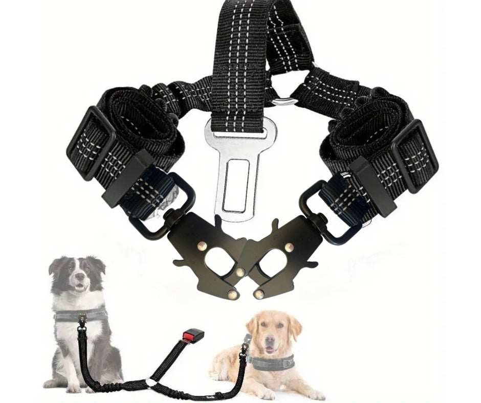 Double dog seatbelt with adjustable elastic bungee and reflective Y-shaped design for safe vehicle travel