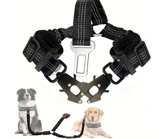Double dog seatbelt with adjustable elastic bungee and reflective Y-shaped design for safe vehicle travel