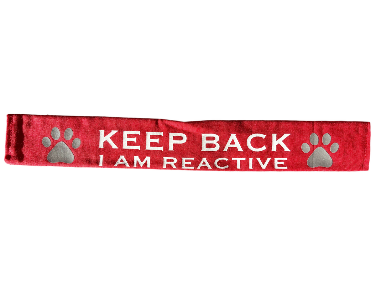 Red reflective lead slip for dogs with "KEEP BACK I AM REACTIVE" text and paw prints, designed for safety and communication.