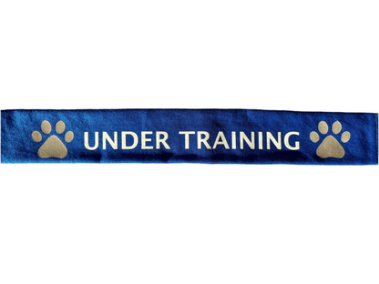Blue cotton lead slip for dogs with reflective "Under Training" text and paw prints for visibility and safety.