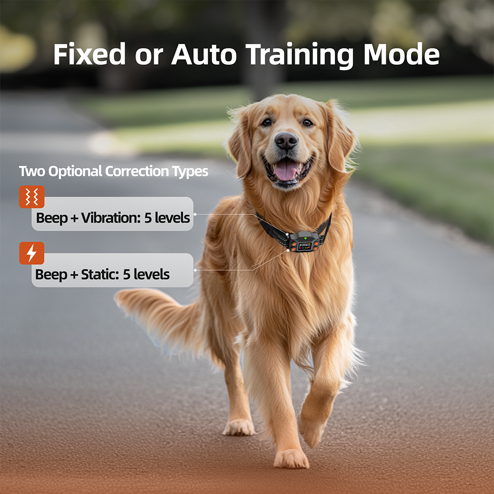 Golden retriever wearing F830 GPS Wireless Dog Fence collar walking outdoors with training mode options displayed