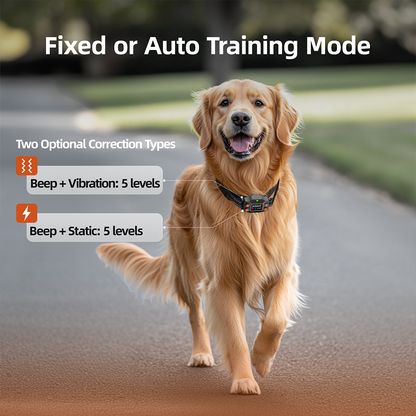 Golden retriever wearing F830 GPS Wireless Dog Fence collar walking outdoors with training mode options displayed