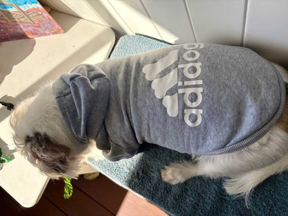 Small white dog wearing a grey Adidog Hoodies Dog jumper with a hood, lying on a blue surface indoors