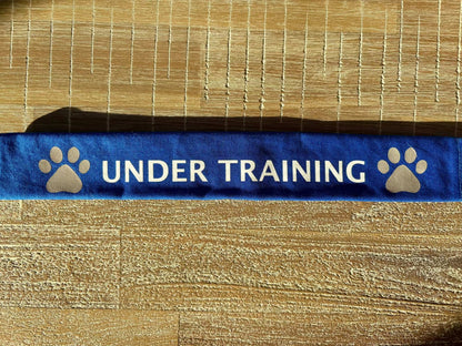 Blue lead slip for dogs with reflective paw prints and "UNDER TRAINING" text for safety and communication.