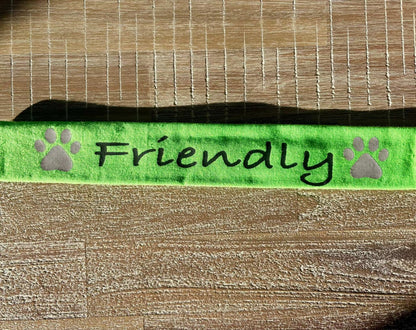 Green lead slip for dogs with reflective paw prints and "Friendly" text for clear communication and safety