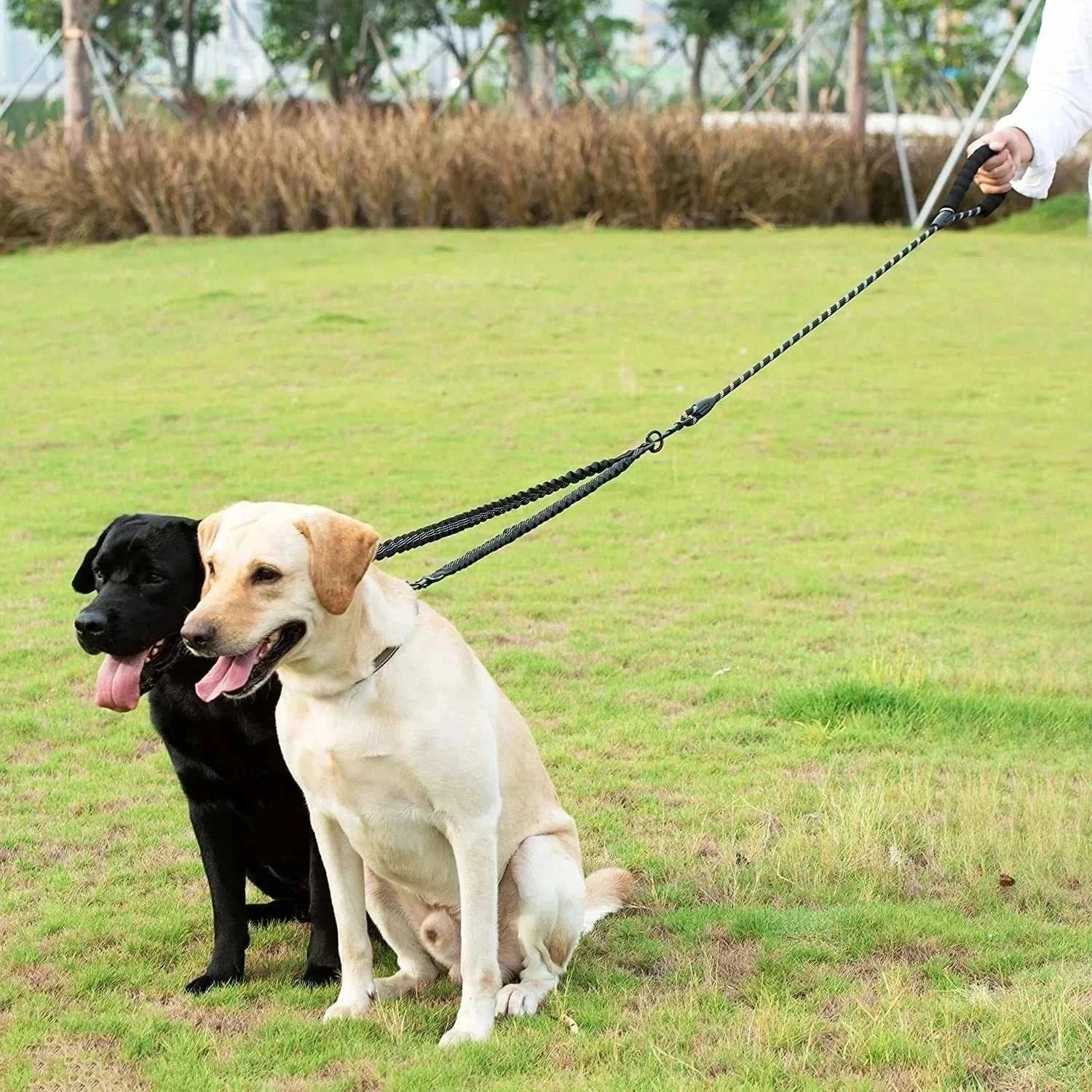 Dual bungee rope leash for walking two dogs with shock-absorbing extension and comfort grip handles