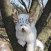 Cute Christmas Reindeer Horn Pet Headband