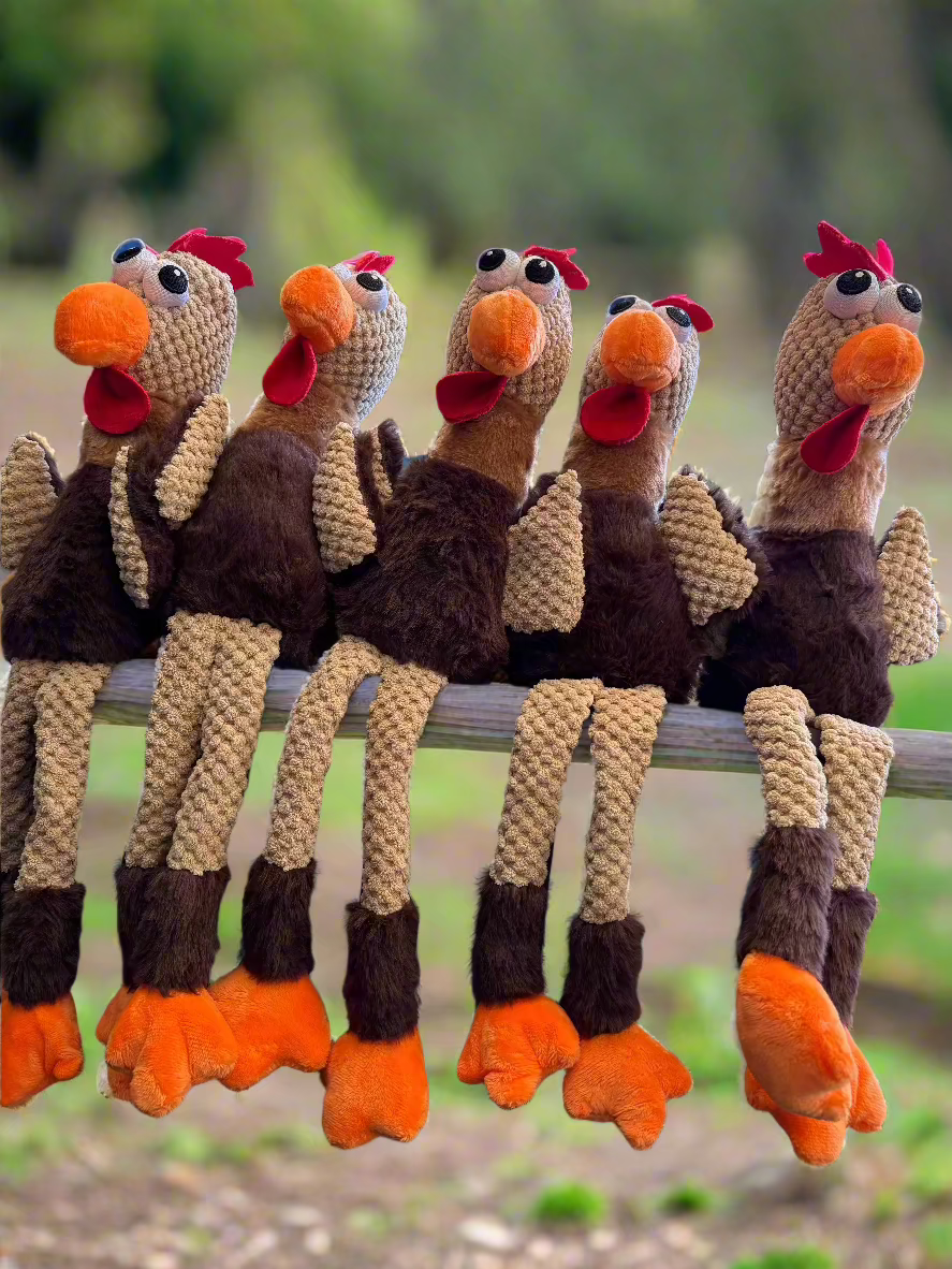 Plush squeaky chicken dog toys designed for interactive play.