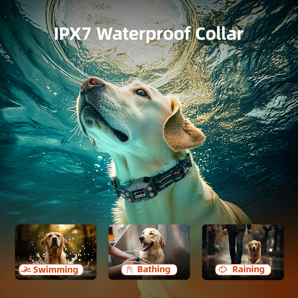 Dog wearing F830 GPS Wireless Dog Fence waterproof collar underwater showing use for swimming, bathing, and raining conditions