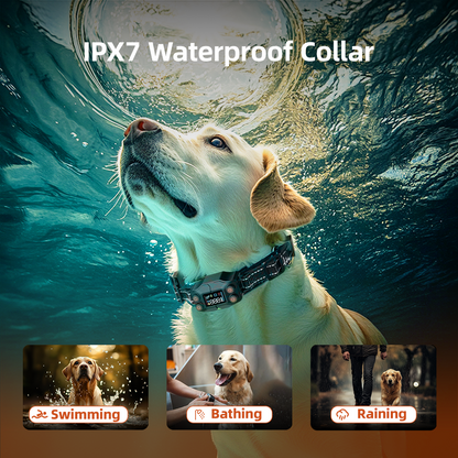 Dog wearing F830 GPS Wireless Dog Fence waterproof collar underwater showing use for swimming, bathing, and raining conditions