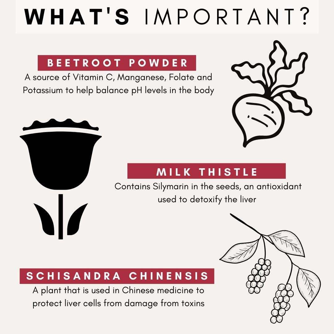 Illustration of key ingredients in PetzPark Liver Support for Dogs: beetroot powder, milk thistle, and schisandra chinensis with descriptions of their liver detoxifying and protective benefits.