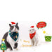 Christmas Bandanna and Hat Dress Up - 2pc