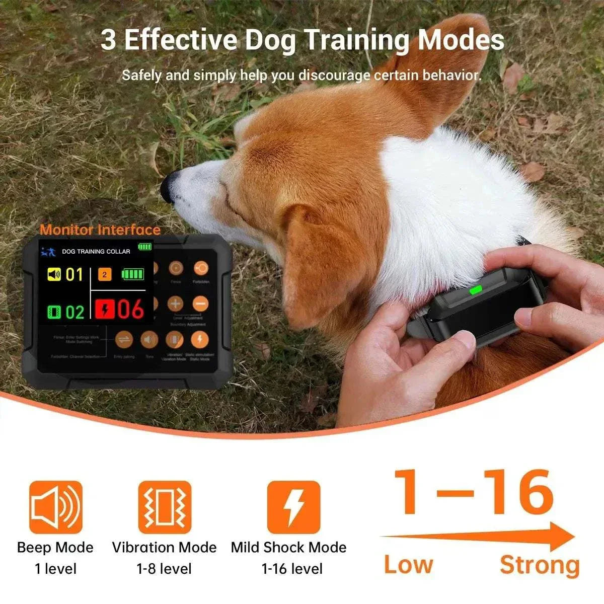 Three-in-One Wireless Dog GPS Fence with radar precision for training, boundary control, and forbidden zones
