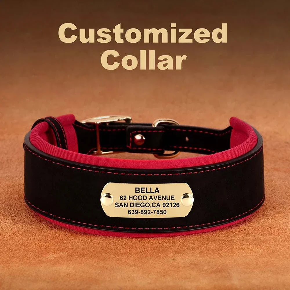 Customised wide dog collar made of soft PU leather with an engraved plate for medium and large dogs.