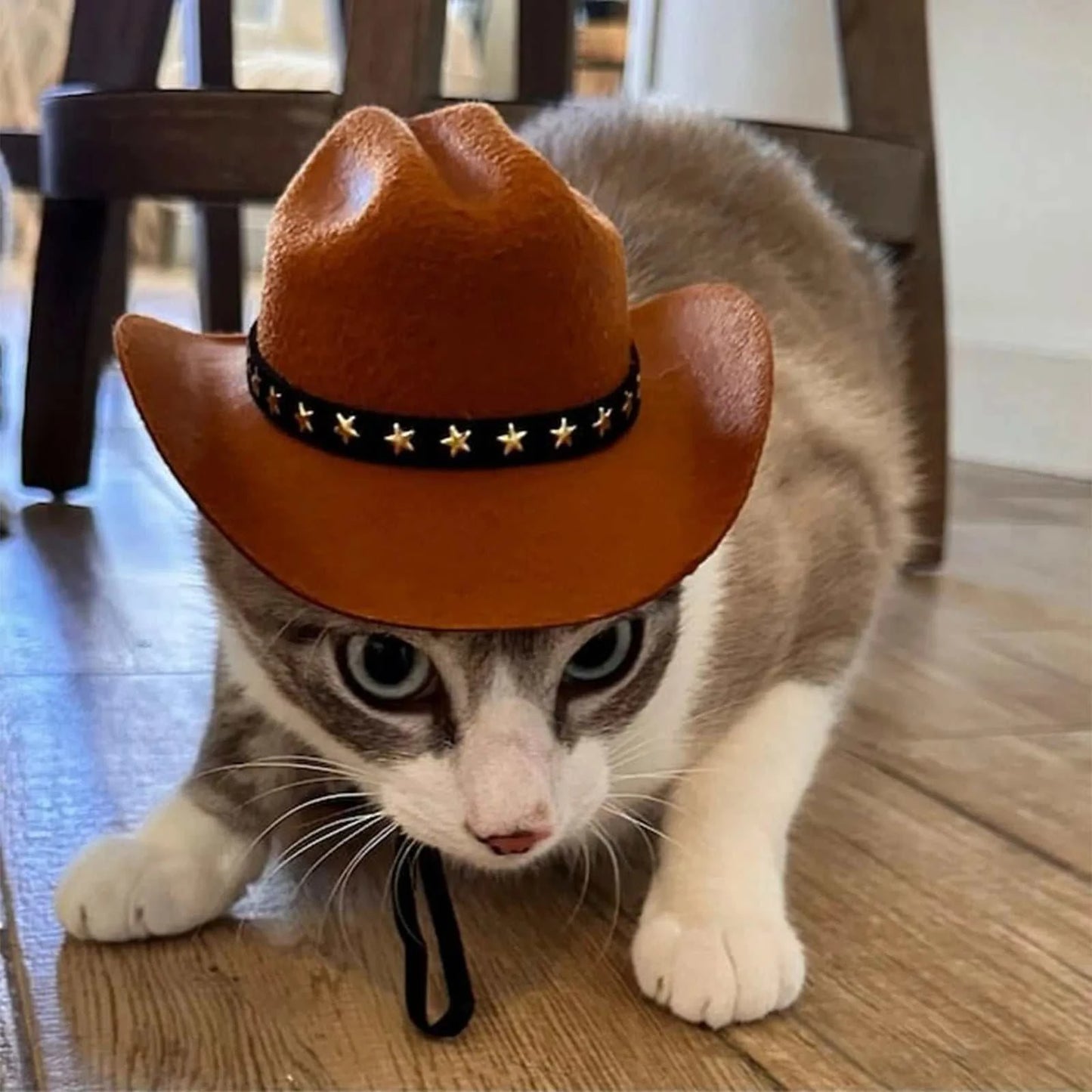 Cowboy Hat Cosplay for Cats and Small Dogs