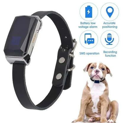 Mini waterproof GPS collar for dogs and cats with real-time tracking features.