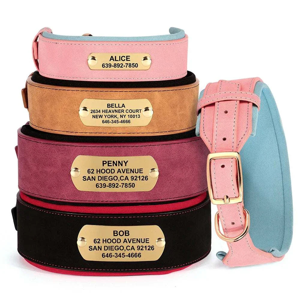 Customised wide dog collar in soft PU leather with engraved name plates for medium and large dogs.