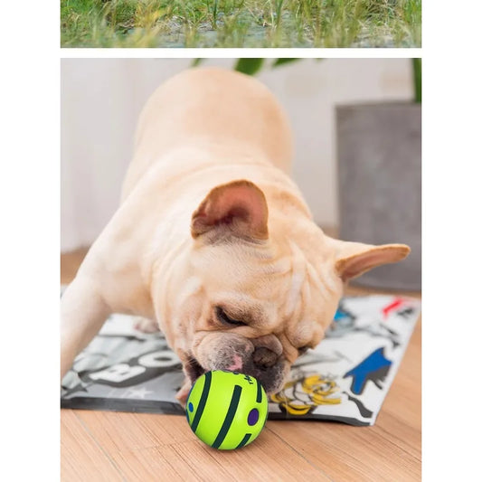 Dog toy puzzle bal