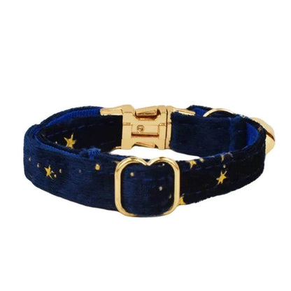 Personalised cat collar with adjustable gold buckle and star design.