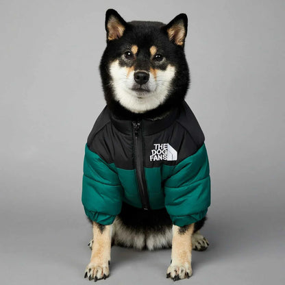 Dog wearing a green and black winter down puffer jacket, perfect for cold weather.