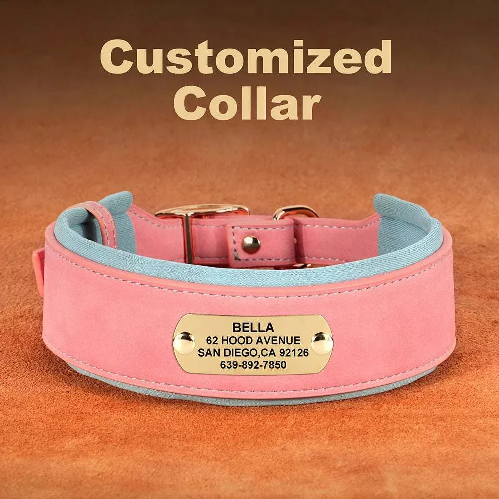 Customised wide dog collar in pink PU leather with engraved nameplate for medium to large dogs.