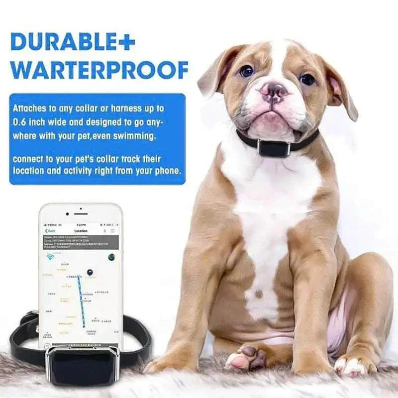 Mini waterproof pet GPS locator on dog collar for real-time tracking