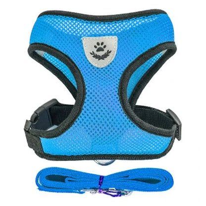 Adjustable harness for cat or small dog with soft, breathable fabric and reflective safety features, shown in blue color with matching leash.
