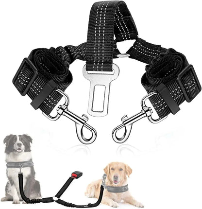 Adjustable double dog seatbelt with reflective stitching and bungee buffer for vehicle safety.