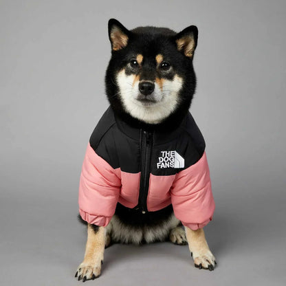 Dog wearing a pink and black winter down puffer jacket, providing warmth and style for cold weather.