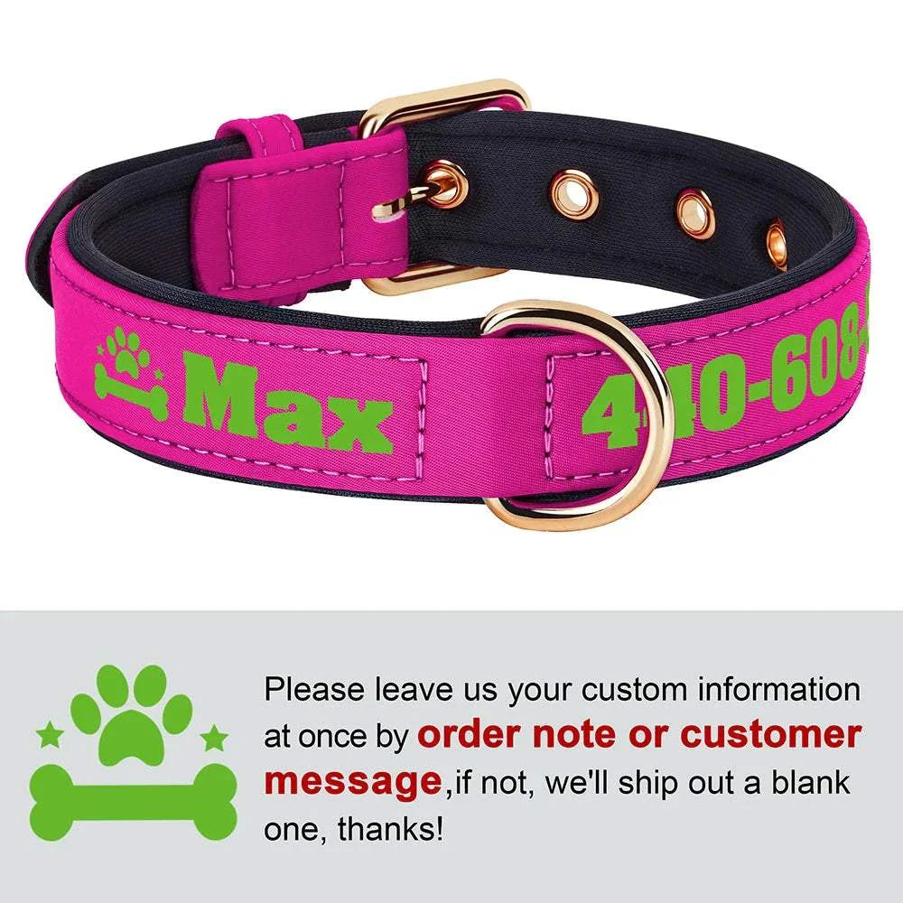 Customised soft padded PU leather dog collar in vibrant color with name and phone number.