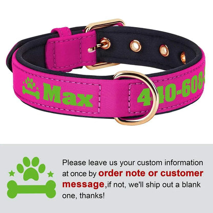 Customised soft padded PU leather dog collar in vibrant color with name and phone number.