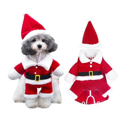 Santa Paws Christmas Dog  Dress Up / Cosplay