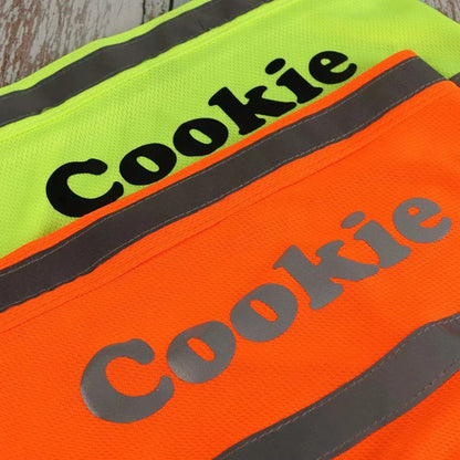 Reflective dog safety bandana personalized with dog’s name for visibility and comfort