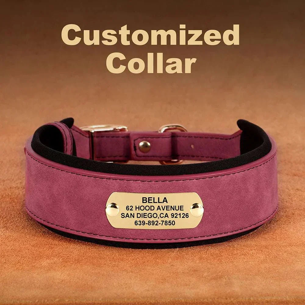 Customised wide dog collar in soft PU leather for medium and large dogs with engraved nameplate.