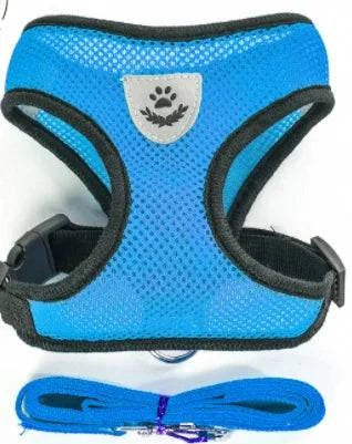 Adjustable blue harness and leash set for cats or small dogs, breathable design with reflective safety.