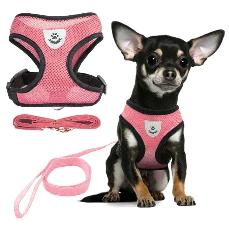Adjustable pink harness for cat or small dog with leash, featuring soft breathable design and reflective safety.