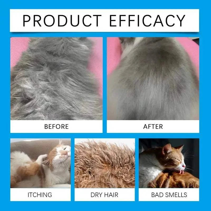 Dry shampoo effectiveness demonstration for cats and dogs, showing before and after results, reduced itching, dry hair, and bad smells.