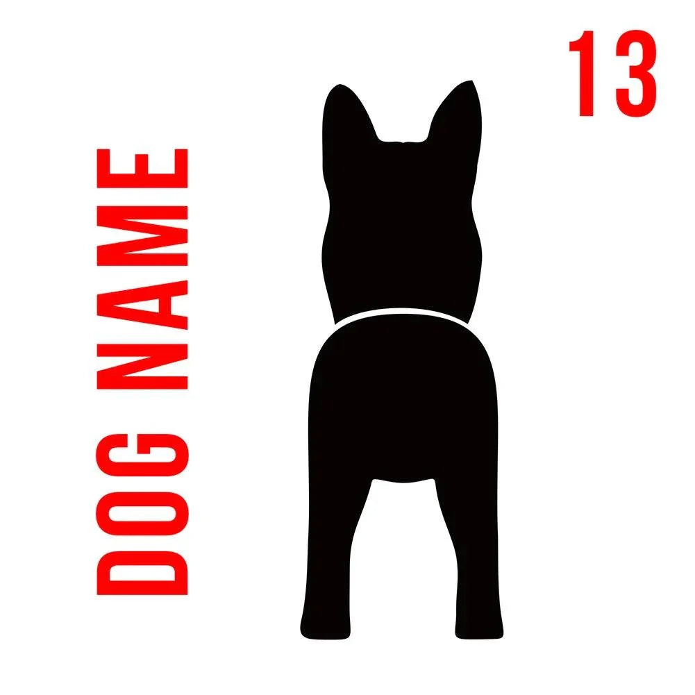 Personalised dog leash wooden wall-mounted hook with custom name engraving and metal hook