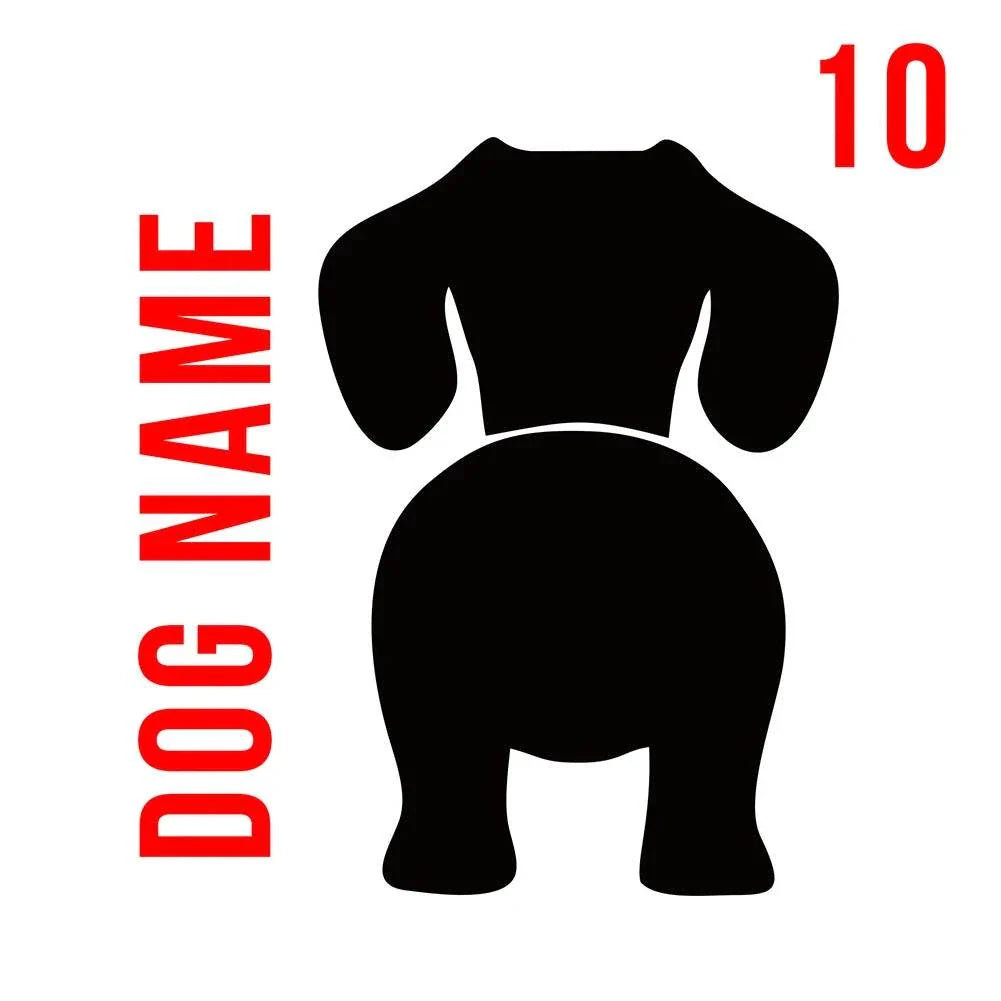 Personalised wooden dog leash wall hook with custom name engraving and metal hook for pet gear organization