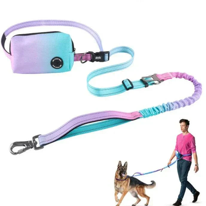 Reflective dog bungee leash with hands-free waist bag and poop dispenser for active dog walking and running