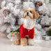 Christmas Dog Dresses