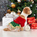 Christmas Dog Dresses