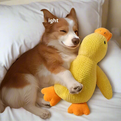 Corgi snuggling with Snuggle Duck toy featuring a duck sound squeaker.