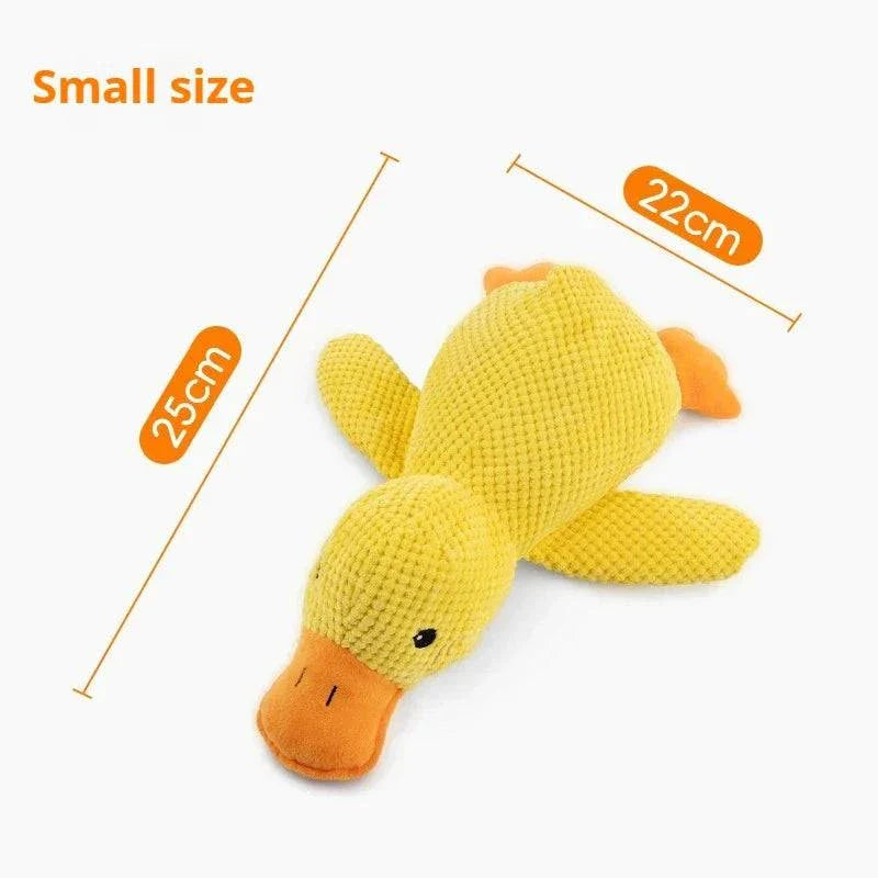 Small Snuggle Duck dog toy with duck sound squeaker, 25cm x 22cm.