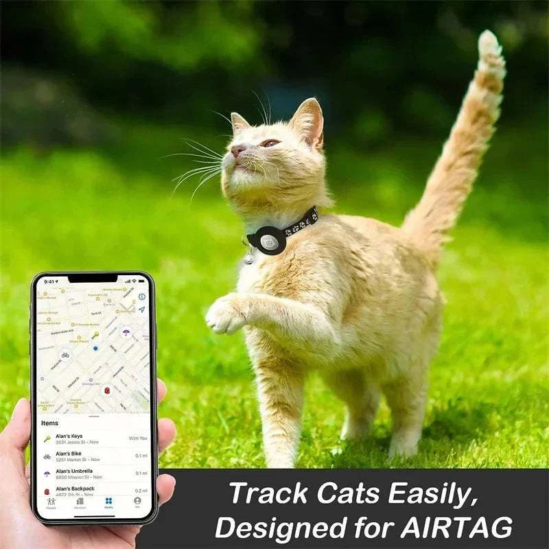 Cat wearing black breakaway cat collar with Airtag holder and bell outdoors near smartphone showing Airtag tracking app.