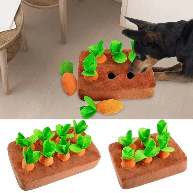 Carrot plush dog toy and snuffle mat for interactive play and sensory enrichment.