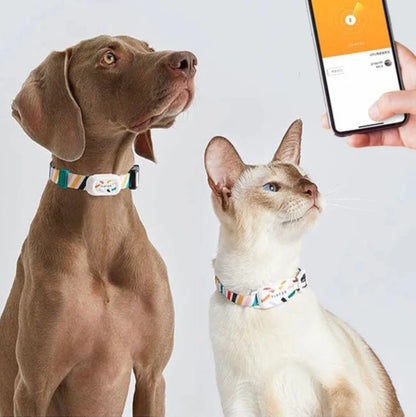 Dog and cat wearing PETKIT Fit 3 Smart Pet Collars being monitored via smartphone app.