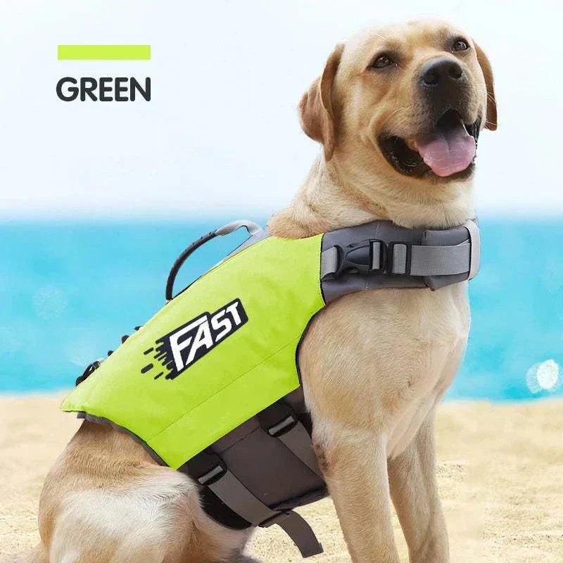 Green reflective dog safety vest with adjustable straps and grab handle worn by a Labrador on the beach